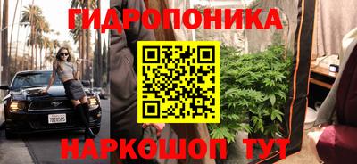 мдма Заводоуковск