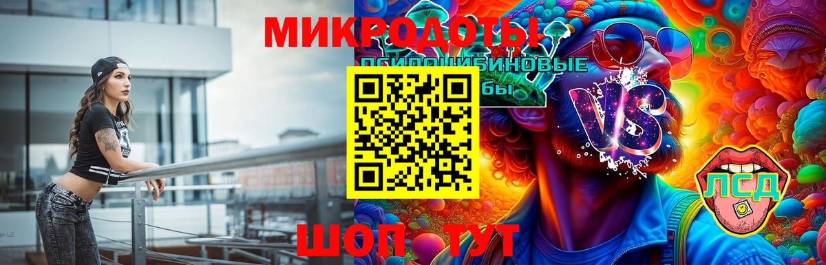 Йошкар-Ола  Псилоцибиновые грибы Psilocybe  Вход с VPN 